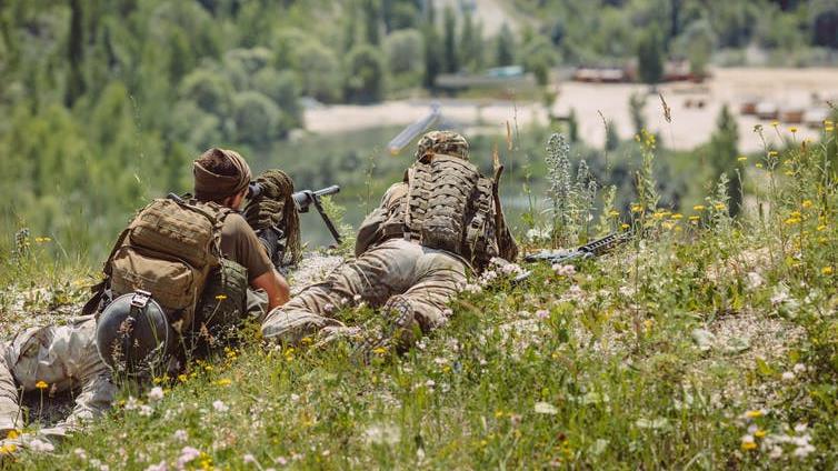 Help: People in the armed forces often use alcohol to cope PICTURE: SHUTTERSTOCK