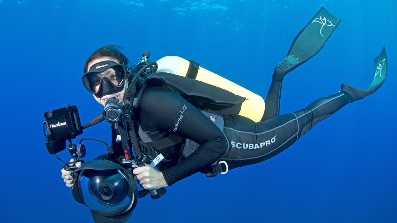 Dive in: Scuba with whale sharks and turtles, below