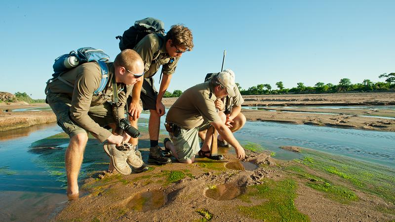 Survival skills: Learn about South African terrain PICTURE: ALBIE VENTER