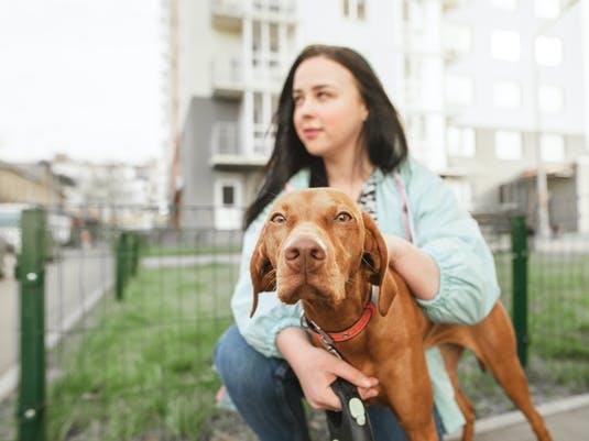 Walkies: Try and mix up when and where you walk your dog to find out what works best for you both PICTURE: SHUTTERSTOCK