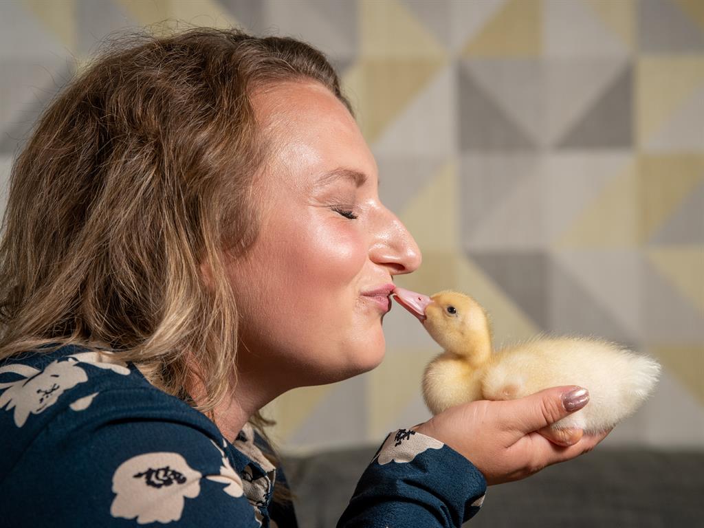 Quackers for one another: Lauren and Darwin share a kiss