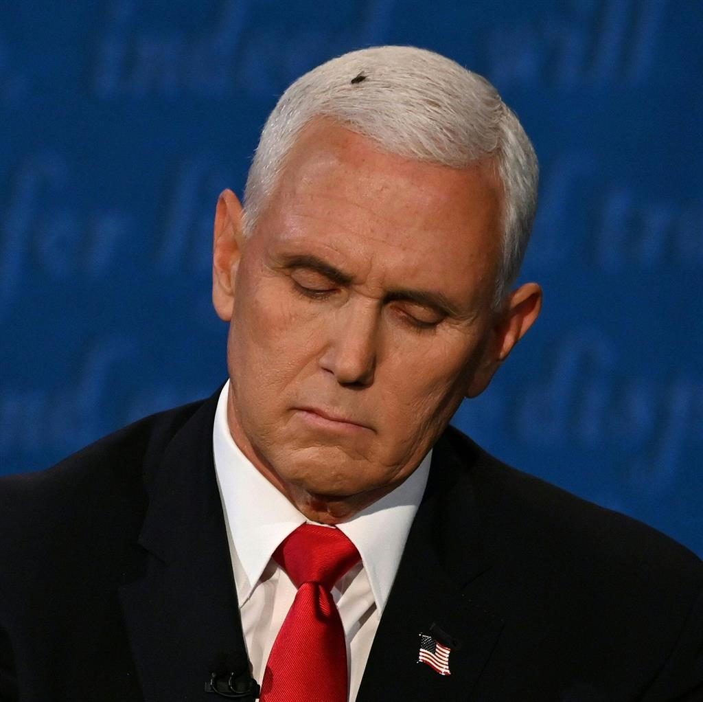 Where's Swat team? Fly sticks around for debate - Metro Newspaper UK