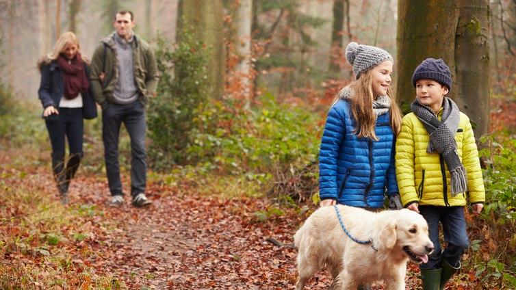 Boost: Exercising in nature is beneficial for mental health PICTURE: SHUTTERSTOCK