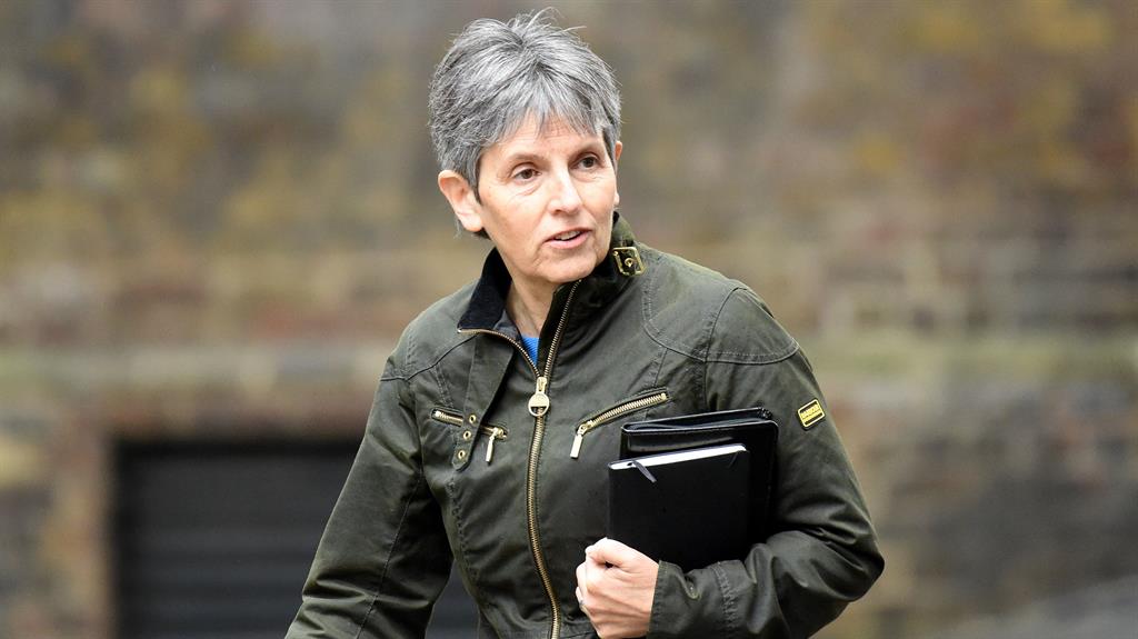 'We have no interest in interrupting family Christmas dinners': Metropolitan Police commissioner Dame Cressida Dick PICTURE: REX