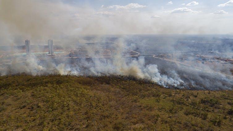 Forest fire: Near the city of Cuiaba, Brazil, in August PICTURE: ROGERIO FLORENTINO/EPA