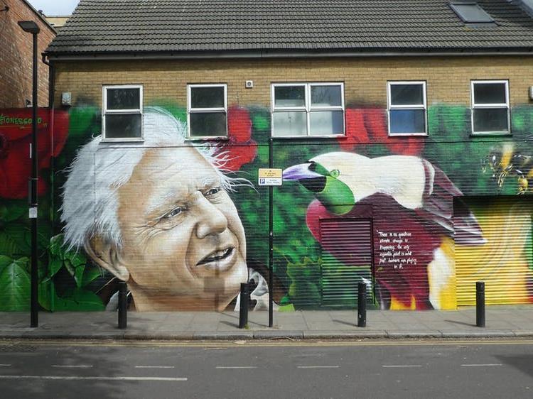 Natural wonder: An Attenborough mural in London, 2019 PICTURE: DUNCAN C/FLICKR