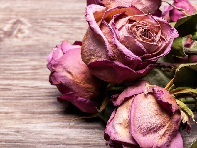 Relationships with old flames: Beyond saving? PICTURE: SHUTTERSTOCK