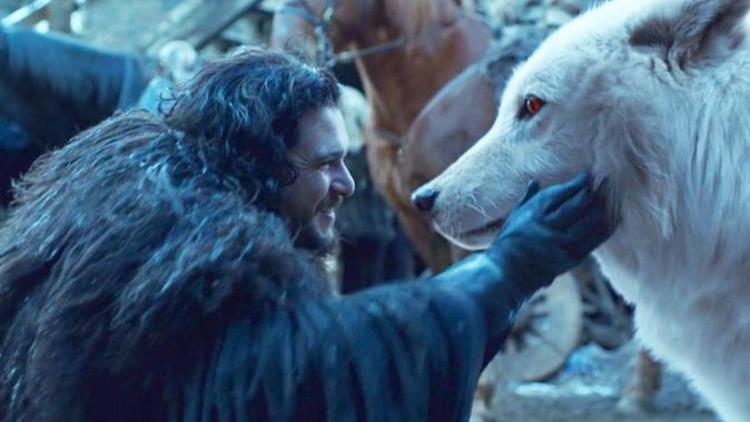 A complex history: Kit Harington as Jon Snow with dire wolf Ghost in Game Of Thrones PICTURE: HBO